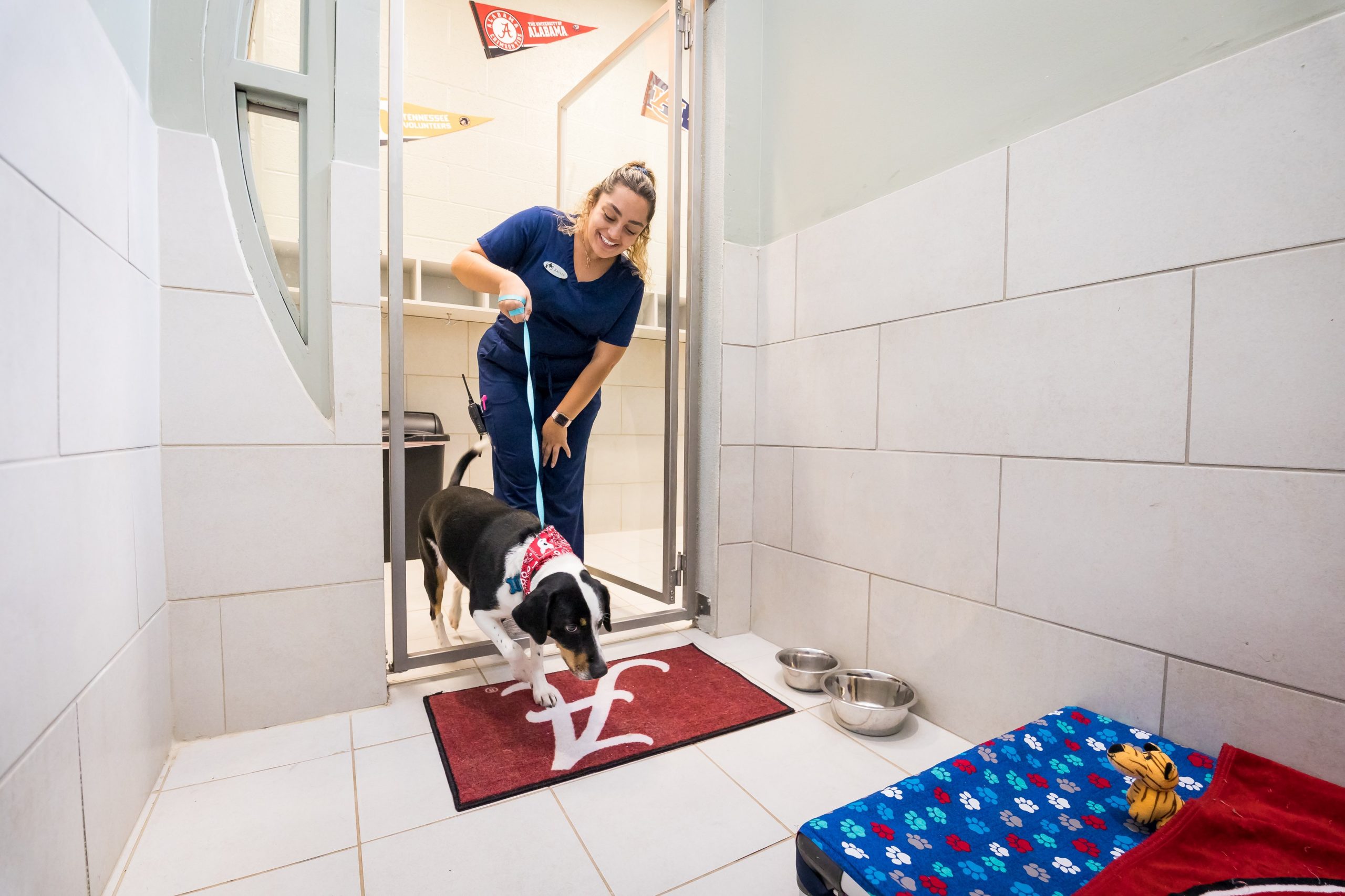 Dog Daycare Center Madison